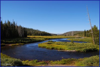 75 - Yellowstone National Park