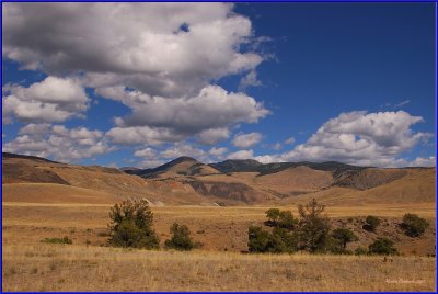 77-Yellowstone National Park