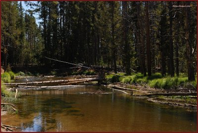 78 -Yellowstone National Park