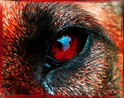 Red-Eye-of-Evil-dtk.jpg