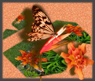 Free-Standing-Butterfly-dtk.jpg