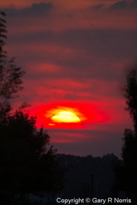 IMG_0213.jpg