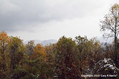IMG_0368.jpg
