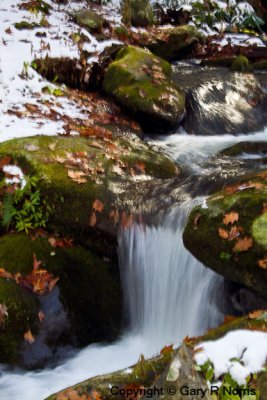 IMG_0388.jpg