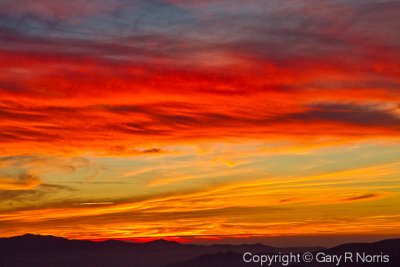 IMG_0592.jpg
