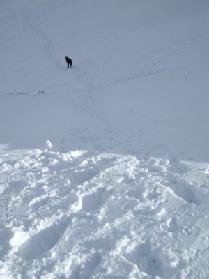 pujadeta fins al Coll de la Marrana