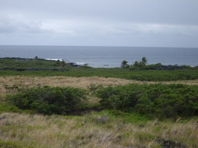 g1/45/689745/3/112023928.8qubuMW3.jpg