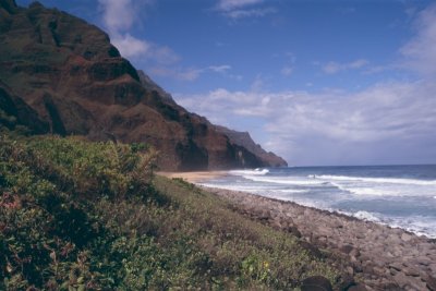 aloha hawaii!!!! mahalo!!!