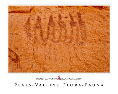 Art Poster_Bountiful Canyonlands Peaks Valley Fauna Flora copy.jpg