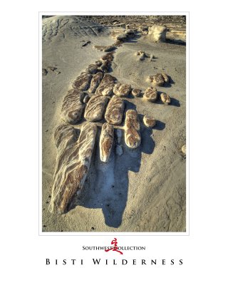 Art Poster_Bisti_Cracked Rocks copy.jpg