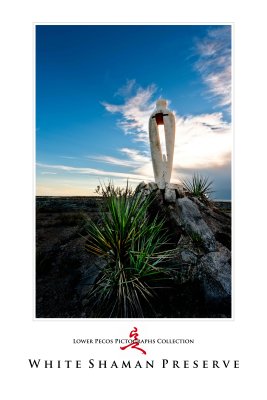 Art Poster_White Shaman Preserve copy.jpg