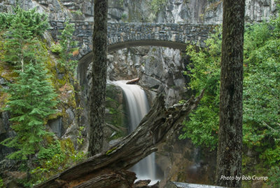 Christine Falls.jpg