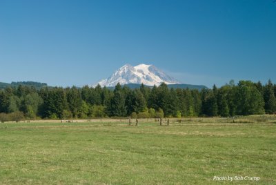 Mt Rainier from Eatonville Road_01.jpg