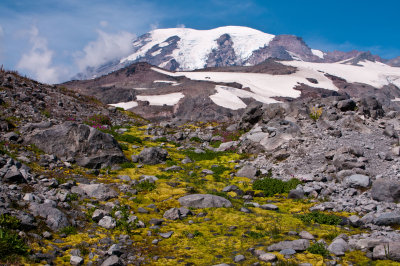 Mt Rainier-Paradise Glacier Area_0811.jpg