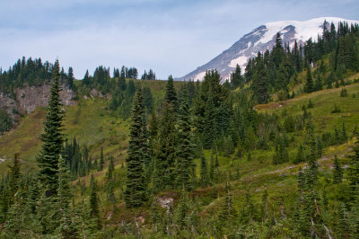 Mt Rainier-Paradise-4th Crossing Trail_0788.jpg