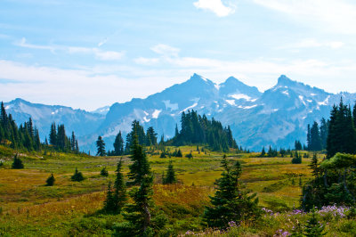 Mt Rainier-Paradise-Skyline Trail_0848.jpg