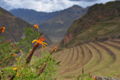 Pisac