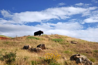 Chinchero