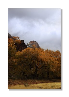 IMG_1177