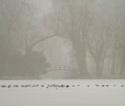 g1/45/736645/3/92340339.DVCVF4xN.jpg