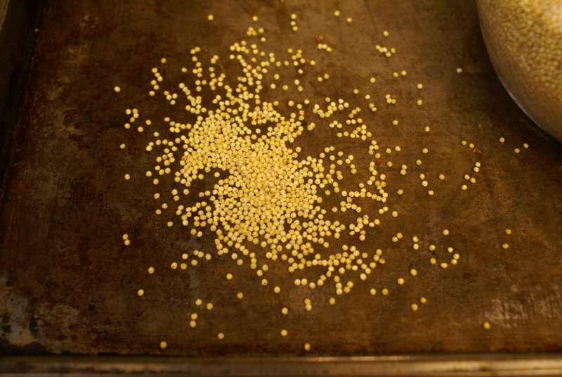 Millet seeds up close.JPG