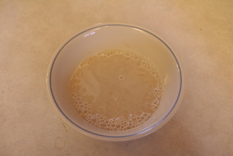 Activating the yeast.JPG