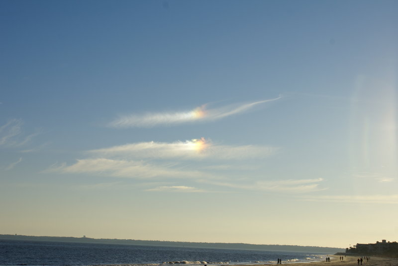 St. Simons Island, Georgia, United States, Feb. 2, 2008