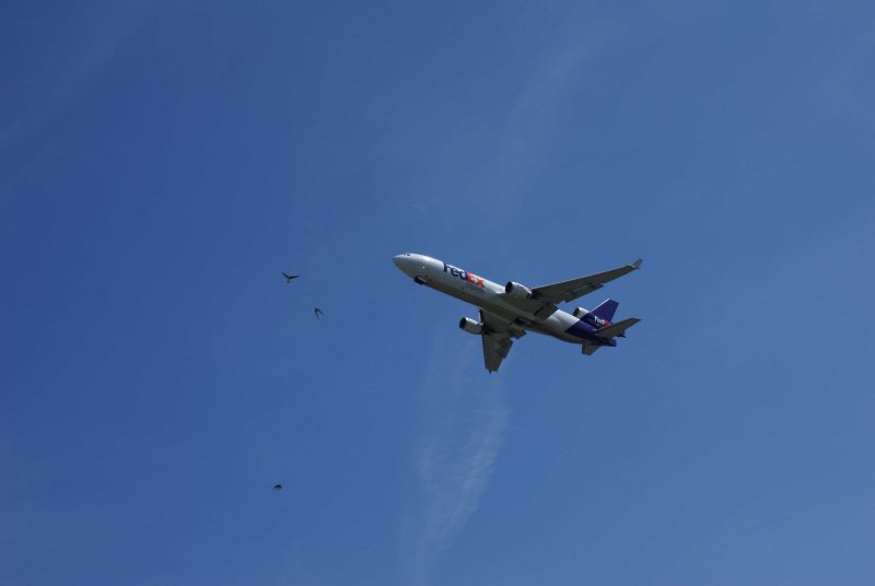 10 FedEx plane leaving Anchorage w dental chair.jpg