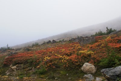 DSC05190.JPG