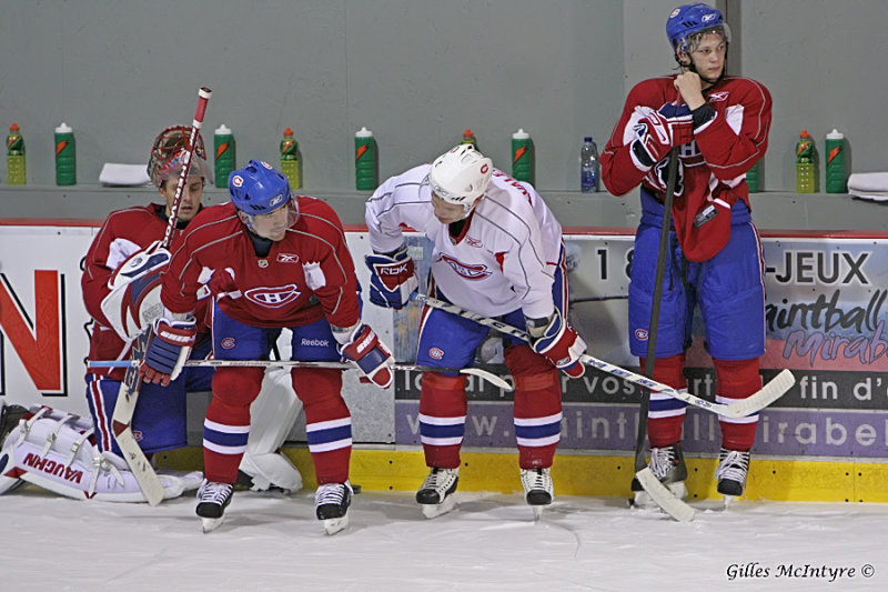 IMG_9658 Go habs go.jpg