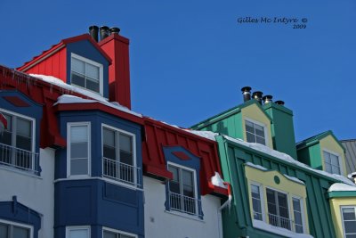 IMG_0559-copy.jpg