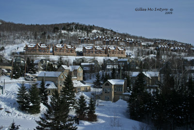 IMG_0581-copy.jpg