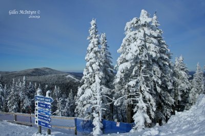 IMG_0595-copy.jpg