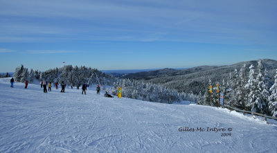 IMG_0597-copy.jpg