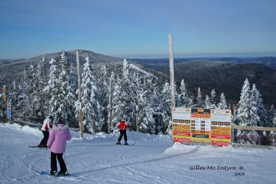 IMG_0598-copy.jpg