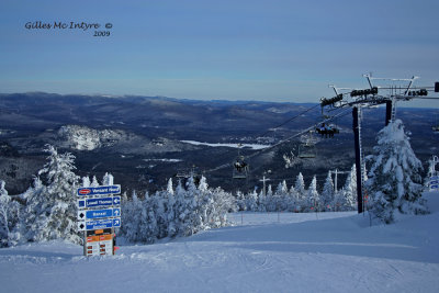 IMG_0601-copy.jpg