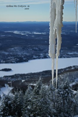 IMG_0609-copy.jpg