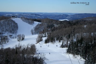 IMG_0621-copy.jpg