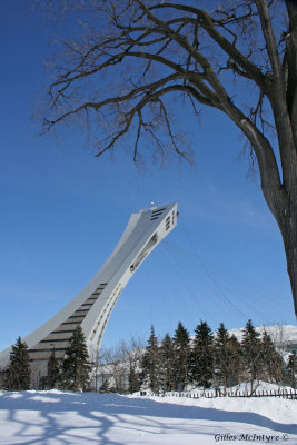 IMG_7061-Stade Olympique Mtl.jpg