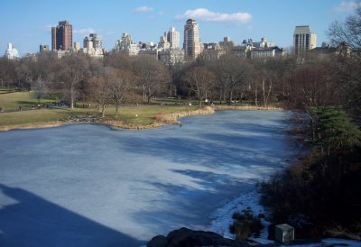 Central Park from Belvedere Castle
