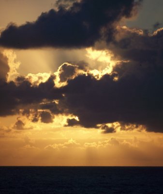 Sunny clouds