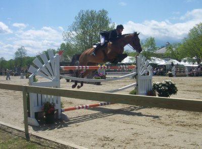 Horse show in northern CT