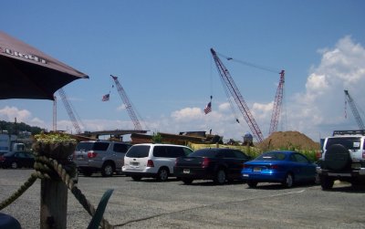 Cranes and flags