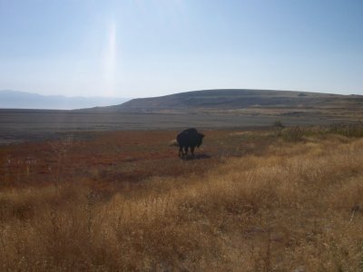 Antelope Island 5