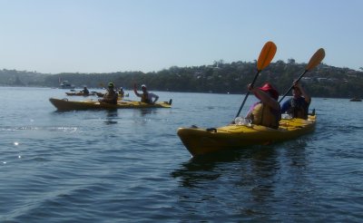 A kayak tour begins
