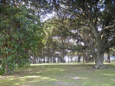 Centennial Park