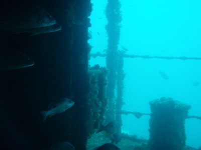 Dive trip to the HMAS Brisbane