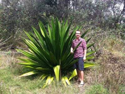 Me and a big green plant