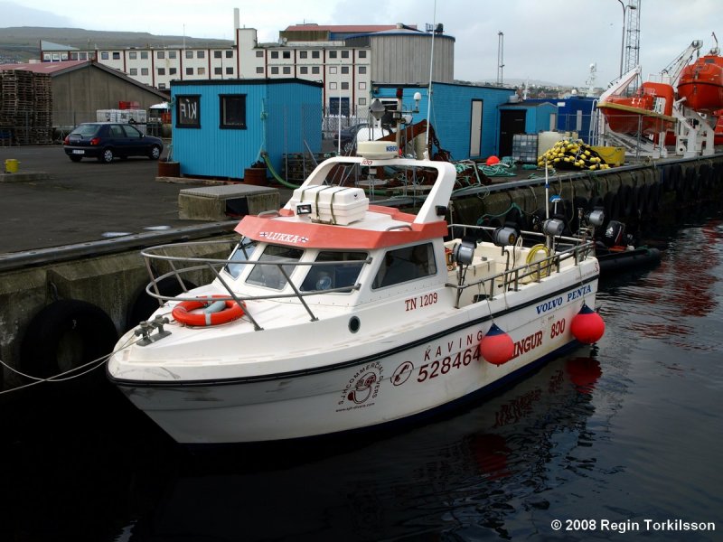 Lukka TN 1209