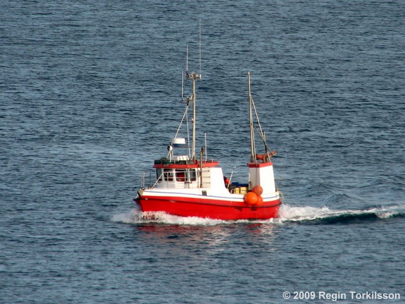 Tanya TN 1303